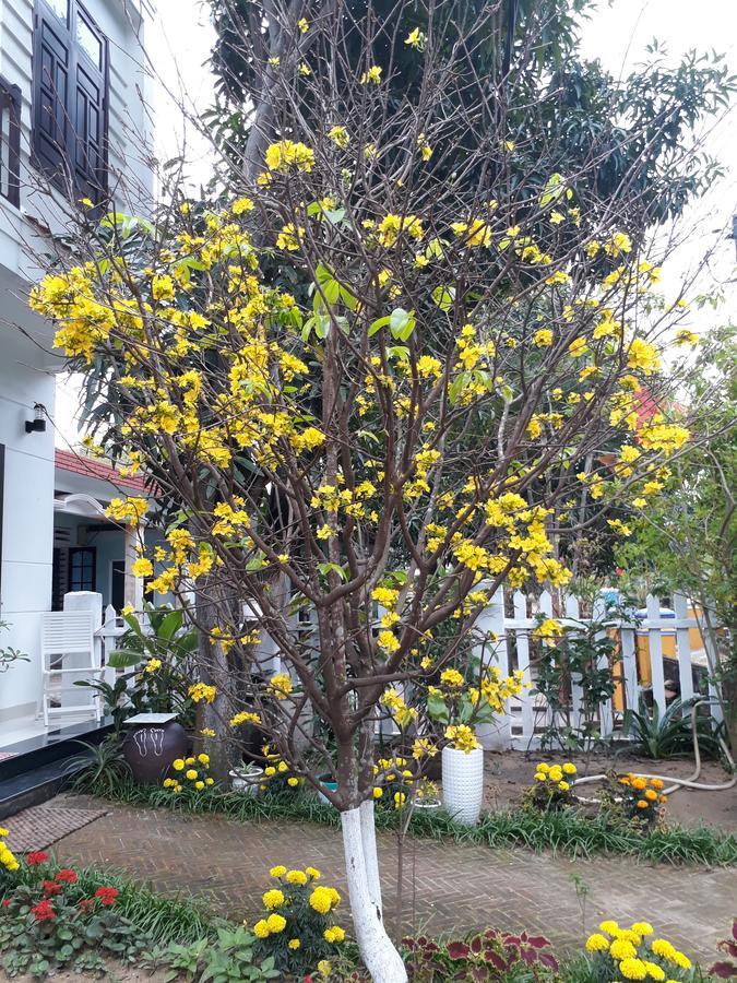 An By Ivy Homestay Hoi An Exterior photo